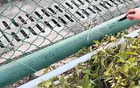 球迷聚唱留言，心連廣州隊(duì)，永不解散。