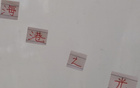 蔣光太復出得點球，維塔爾閃耀海港。