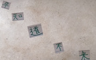 真敢言！國安主帥賽蒂恩，知場地差則不來。