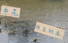 申花替補(bǔ)陣容，國腳主力，中超榜首霸主。