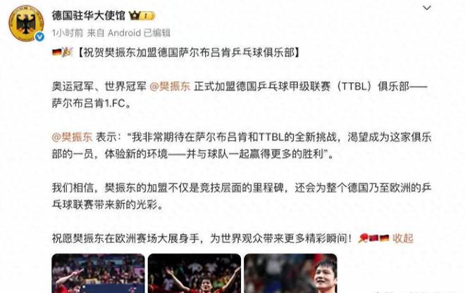 樊振東德甲6天，三大益處顯，俱樂部贊其瘋狂。