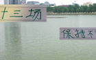 蘇亞雷斯不敗十三場，塞蒂恩更懂北京國安！