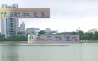 深圳戰(zhàn)敗，賠兵折將，申花蘭帕德、特謝拉顯神勇。