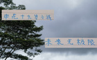 申花新星19歲國(guó)腳，聯(lián)賽三球，超越米內(nèi)羅。