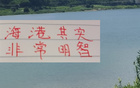 海港明智，無(wú)奧斯卡仍爭(zhēng)前四；山東艱難，缺費(fèi)萊尼。