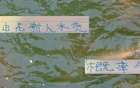 申花新星赤道幾內(nèi)亞表現(xiàn)佳，張玉寧國(guó)足地位比肩，實(shí)力非水貨。