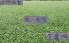 申花特謝拉能否一戰(zhàn)通關(guān)？