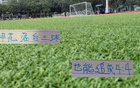 戴冠負(fù)重，申花笑中藏險(xiǎn)，終扳平。