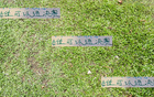 離開云南主場(chǎng)，靠獎(jiǎng)金激勵(lì)能否戰(zhàn)勝北京國安進(jìn)決賽？