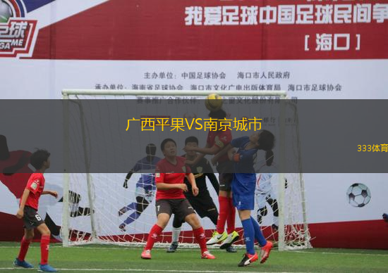 廣西平果VS南京城市