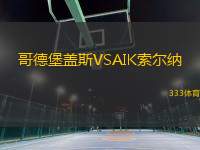 哥德堡蓋斯VSAIK索爾納