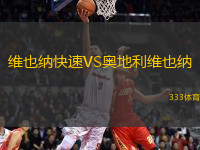 維也納快速VS奧地利維也納