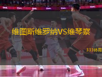 維圖斯維羅納VS維琴察