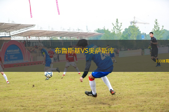 布魯斯基VS奧薩斯庫