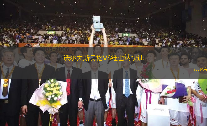 沃爾夫斯貝格VS維也納快速