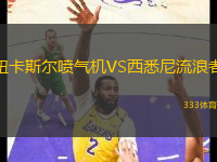 紐卡斯?fàn)枃姎鈾C(jī)VS西悉尼流浪者