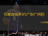 石家莊功夫VS廣東廣州豹