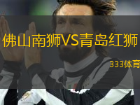 佛山南獅VS青島紅獅