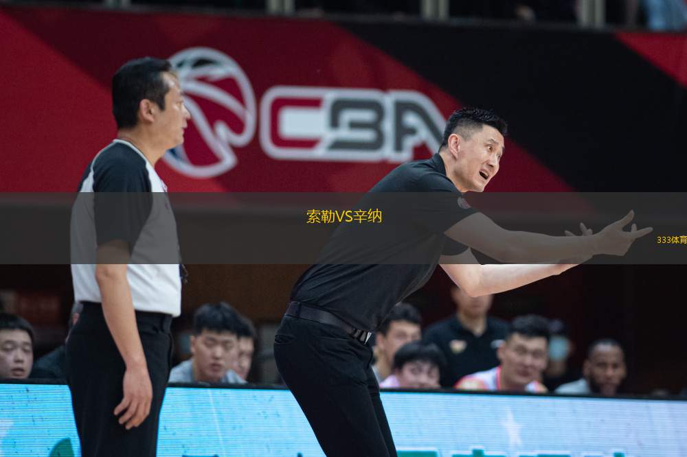 索勒VS辛納