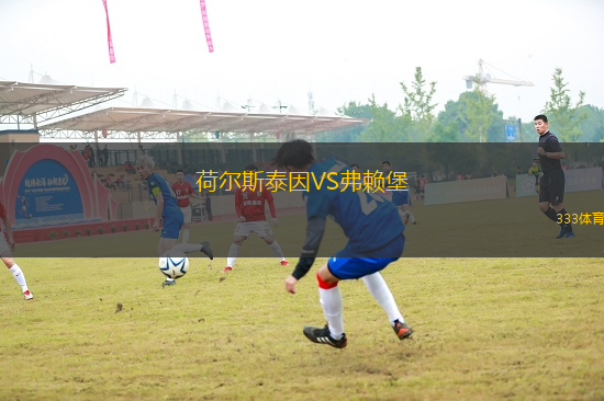 荷爾斯泰因VS弗賴堡