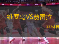 維塞烏VS費(fèi)雷拉