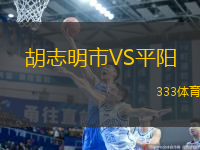 胡志明市VS平陽(yáng)