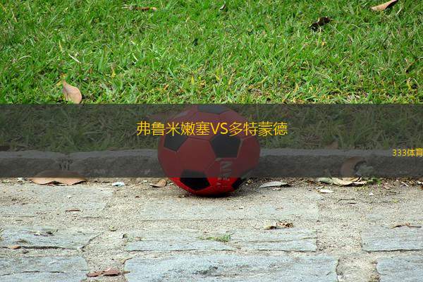 弗魯米嫩塞VS多特蒙德