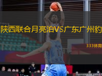 陜西聯(lián)合月亮泊VS廣東廣州豹