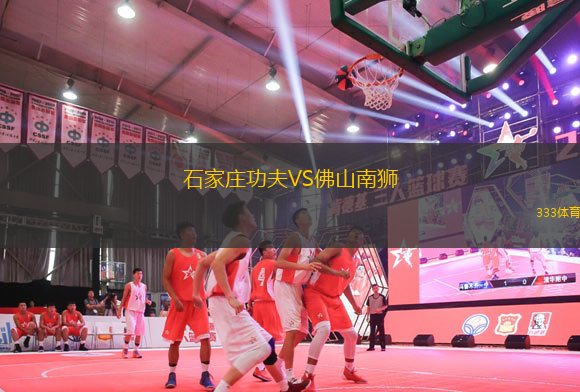石家莊功夫VS佛山南獅