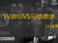 SV德紹VS馬格德堡