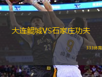 大連鯤城VS石家莊功夫