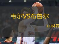 韋爾VS布魯爾
