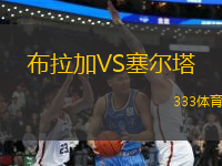 布拉加VS塞爾塔