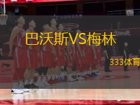 巴沃斯VS梅林