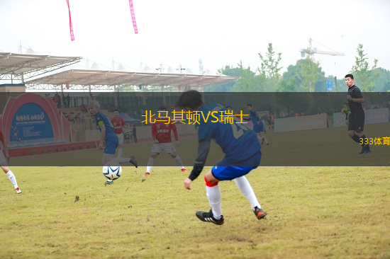 北馬其頓VS瑞士