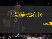 巴勒莫VS布拉