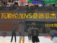 瓦勒倫加VS桑德菲杰