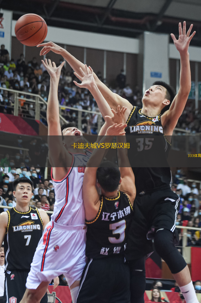 卡迪夫城VS羅瑟漢姆