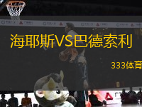 海耶斯VS巴德索利