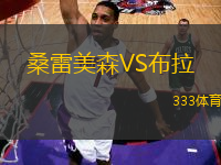 桑雷美森VS布拉