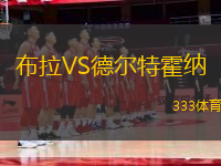 布拉VS德爾特霍納