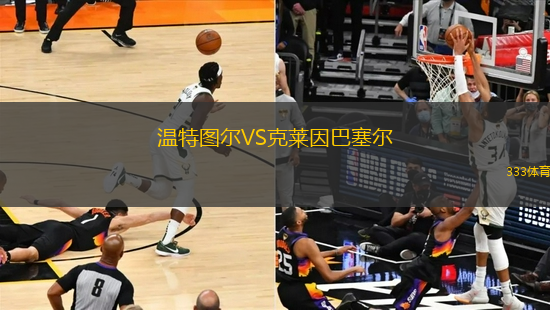 溫特圖爾VS克萊因巴塞爾