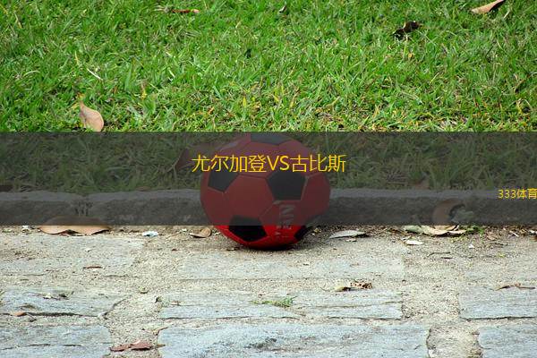 尤爾加登VS古比斯