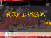 勒沃庫森VS波鴻